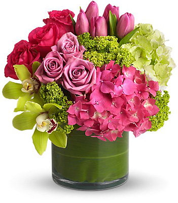 New Sensations from Richardson's Flowers in Medford, NJ